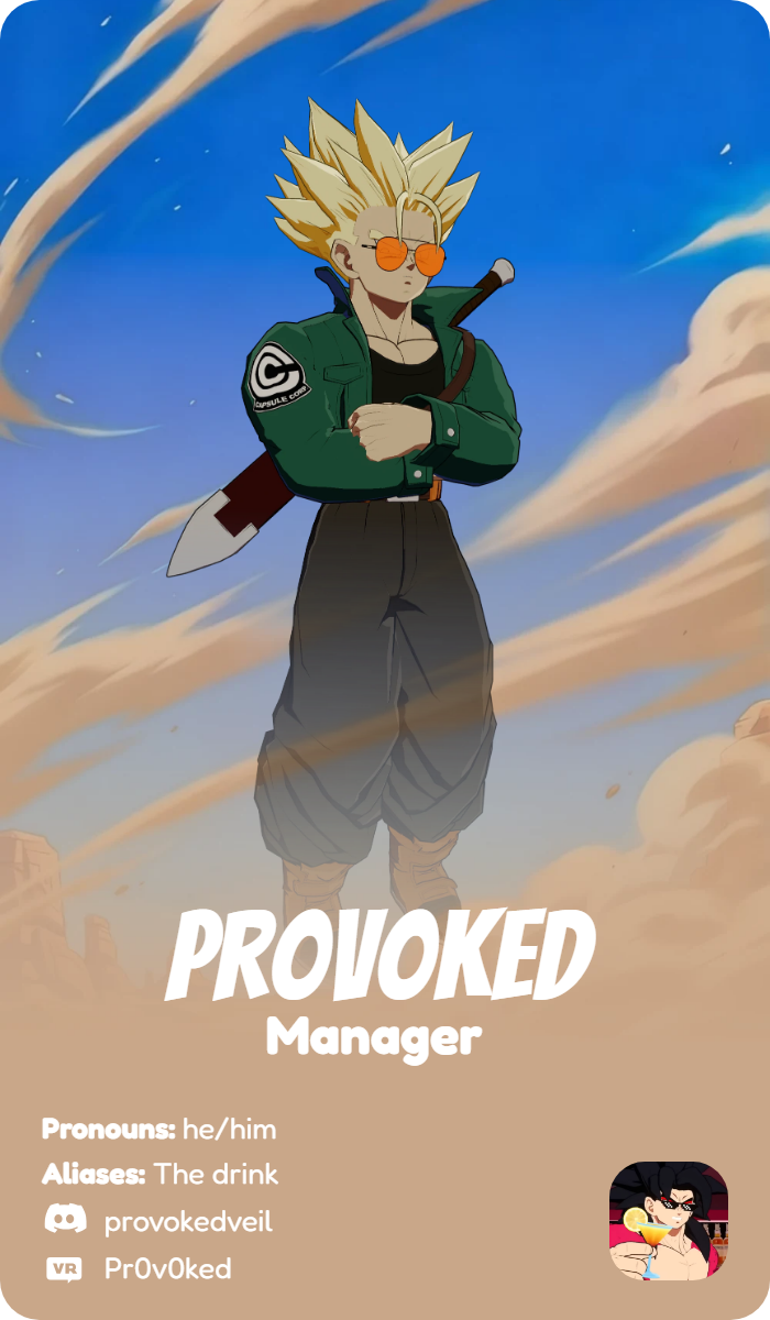 Pr0v0ked profile card